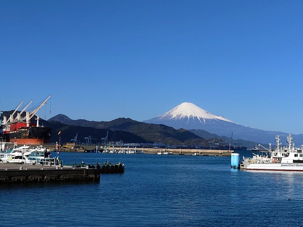 造る』シリーズ】No.02： 「清水港 〜100年先のバランスを見据えて〜」 | 老成学研究所